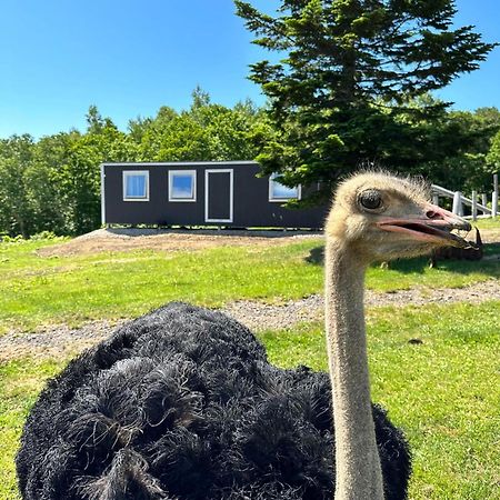 Margo'S Garden Farmstay, Kiroro Akaigawa Eksteriør bilde