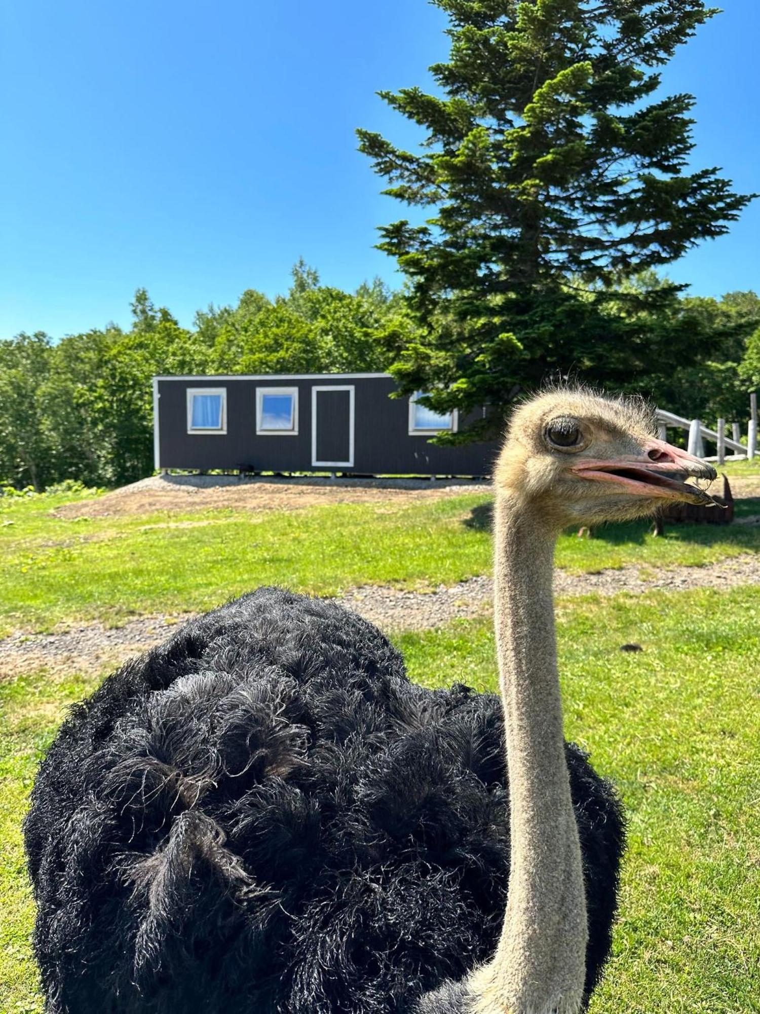 Margo'S Garden Farmstay, Kiroro Akaigawa Eksteriør bilde
